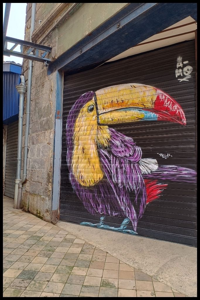 Street Art of a Colorful Toucan Affordable Activities